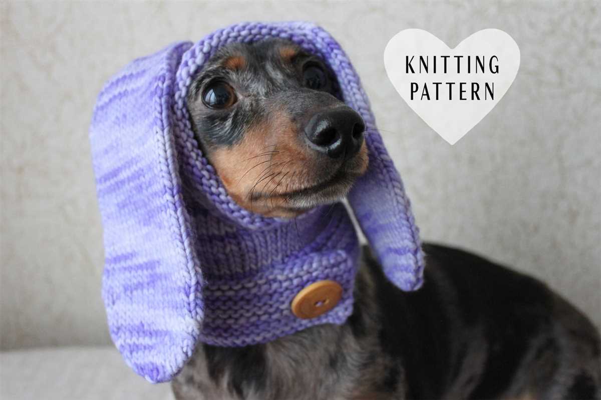 Knitted dog sweater pattern dachshund